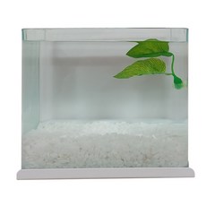 Aquatera 窗框掛魚缸套組 10mm, 白色（魚缸）