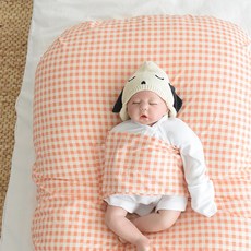 제이앤제나 역류방지 쿠션커버 + 쿠션솜 세트, 후르츠체크오렌지