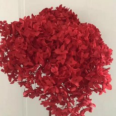 客廳室內裝飾裝飾永生花花束, 紅色的