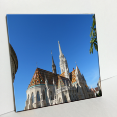 HTP 瓷磚 多朵花 C1272