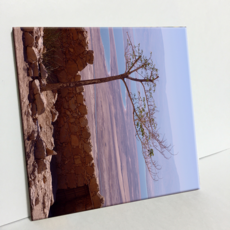 HTP 瓷磚 以色列的沙漠與海岸 C2323