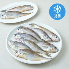 초록바다 굴비 2미 (냉동), 5개, 600g