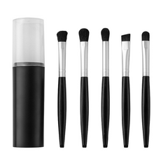 디에스 휴대용 메이크업 브러쉬 5종 세트, 블랙, 1개