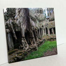 HTP 瓷磚照片 C948 普雷亞 康