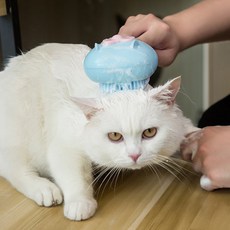 랜보어 반려동물 리본 목욕브러쉬, 블루, 1개