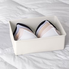 이즈리빙 칸칸칸 속옷 정리함 1칸, 아이보리 + 반투명뚜껑, 1개