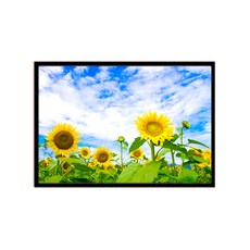 알루미늄 액자 + 포스터 머니플라워 A 세트, 블랙, 1개