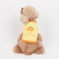 PASTEL PET 寵物水果拼接袖T恤, 橘子