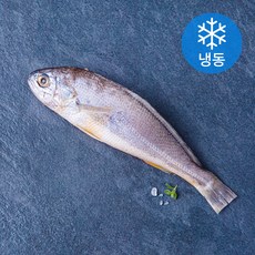 품질인증 초록바다 영광 굴비 (냉동), 130g(1미), 1개