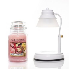 YANKee CANDLe 大號 623g + Aindy 定時器白色融蠟燈組, 1套, 鮮切玫瑰