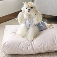 아망떼 베니 해피데이 펫 사각방석, 핑크, 1개