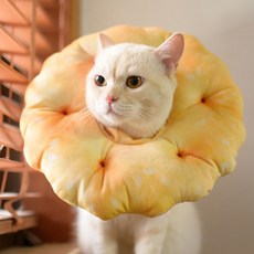 寵物 我會守護你的肌膚 餅乾造型靠墊頸圈 S, 0.6公斤, 1個