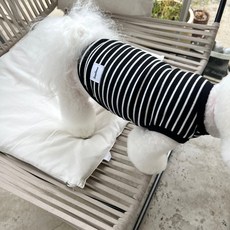 MAGDOG 狗狗Elle條紋T恤, 黑色, 1個