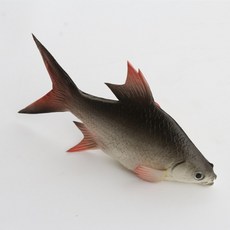 Soniyo 魚形裝飾 室內擺飾 魚模型, TYPE 03