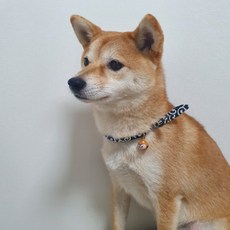 Yebodeul 寵物鈴鐺項圈 柴犬款, 1個, 黑色