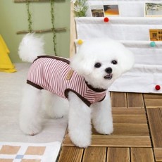 파스텔펫 반려동물 버튼 줄무늬 중성화복, 핑크, 1개