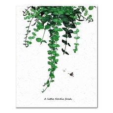 아디코 DIY 페인팅 정물화 명화그리기 50 x 40 cm, 아름다운 유칼립(PG59), 1개