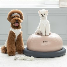 PUPPING 狗狗健身球套組, 1套