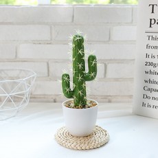 온업 조화 인조 선인장 화분 1, 화이트, 그린, 1개