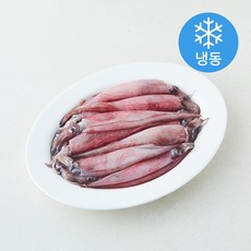 The더착한 한치 화살오징어 (냉동), 1개, 900g(중/12~15cm)