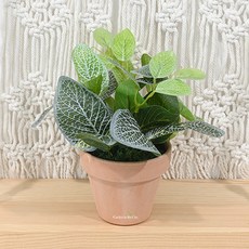 도시정원 조화 휘토니아 화분, 랜덤발송(토분), 1개