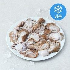 비비수산 살아있을때 얼린 주꾸미 (냉동), 1개, 1kg