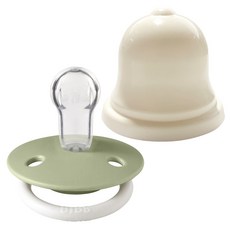 BIBS 디럭스 실리콘 공갈젖꼭지 + 실리벨 케이스, 신생아~36개월, 32 세이지나이트, 1세트