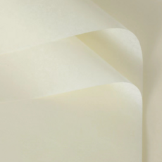 쿠말 2절 선물 의류 포장 색화지 습자지 70 x 50 cm, 크림아이보리, 36장