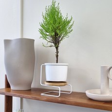 나스카피 스퀘어 다육이 철제 인테리어 화분, 화이트, 1개