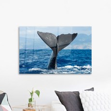 裝飾壓克力相框 飛翔的座頭鯨 2 尾巴