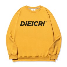 DIELCRI 男款字母印花長袖衛衣