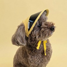 DING DONG PET 寵物輕量夏日帽, 黃色, 1個