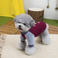 Coco studio 狗狗貓咪胸背帶通用大學T恤 #1, 1個, 酒紅色