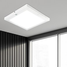 Mellibing LED 固定式 無頻閃 邊緣方形 感應燈 20W 22cm, 1個, 白色 + 白光