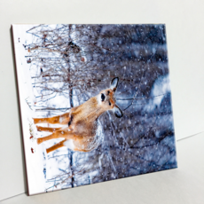 HTP 磁磚 雪中之鹿 C2909