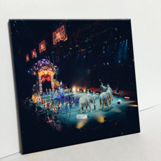 HTP 磁磚 動物馬戲團 C2939