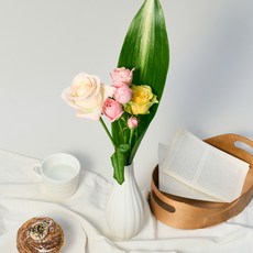 코코도르 생화 절화 시즌 장미 랜덤발송, 혼합색상