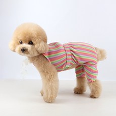 Grooming Dog 寵物度假繞頸連身衣, 1個, 彩虹