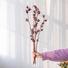 GAPANG 乾花玫瑰02號 DRYB189, 紅色的