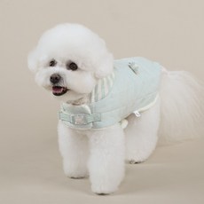 리토가토 강아지 헬로 하네스 패딩, 민트, 1개