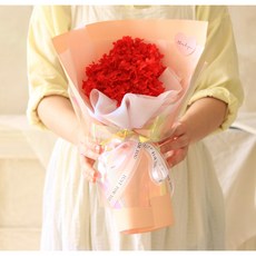 ScentBasket 永生鮮花極光繡球花束, 紅色