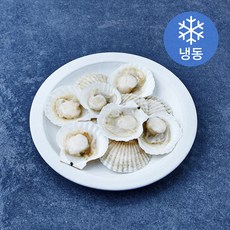 The더착한 반가리비 (냉동), 1개, 720g(36/40미)