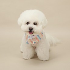 RITOGATO 小狗 Nannabi Saekdong 韓服斗篷, 1個, 霧霾彩虹