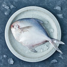 목포수협 병어 (냉장), 1개, 300g(특대)