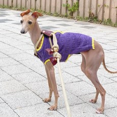 Caniche 可愛蕾絲鏤空針織狗狗開襟衫, 紫色