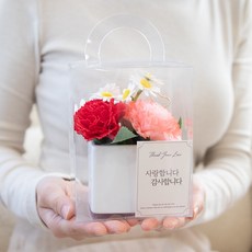 ASPASIA 人造花 Flori 康乃馨香皂花盆 + 外盒 + 留言卡 + 零用錢信封組, 紅色, 1個