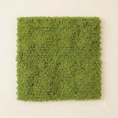 JOART 牆面綠化 生物牆 植物牆 智慧花園 翡翠草 綠色, 2個