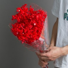 소니오 프리저브드플라워 소형 안개꽃 꽃다발, 03 레드