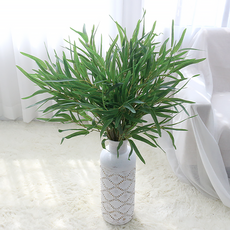 IBERIS Dawoo F&G 竹葉枝, 2個, 綠色