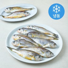 초록바다 굴비 2미 (냉동), 5개, 800g